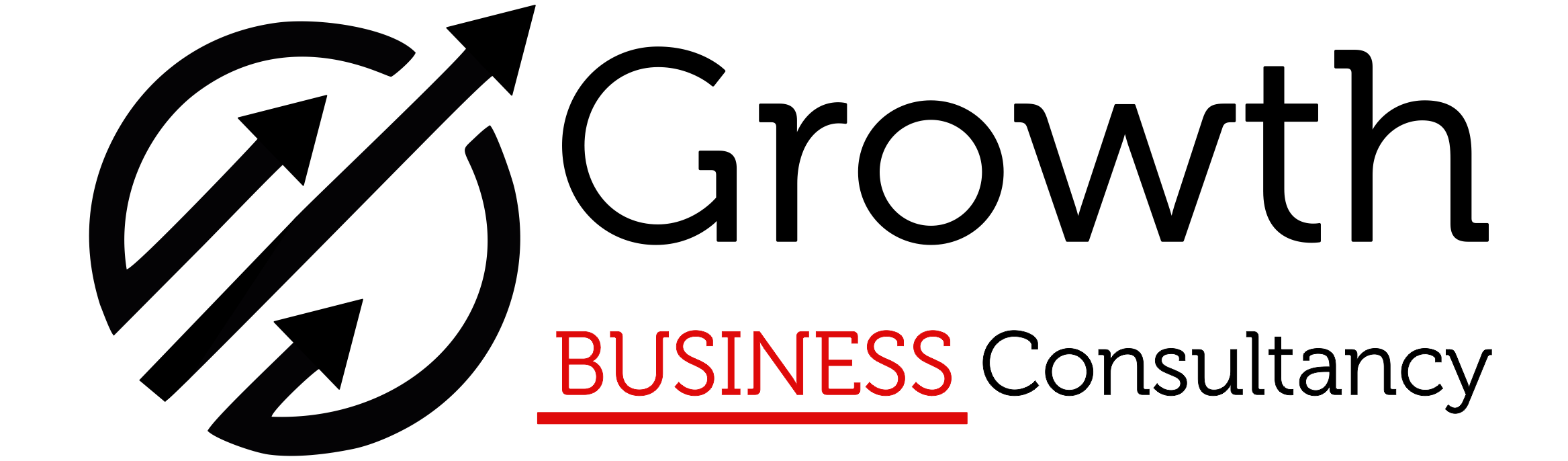 Growth Business Consultancy